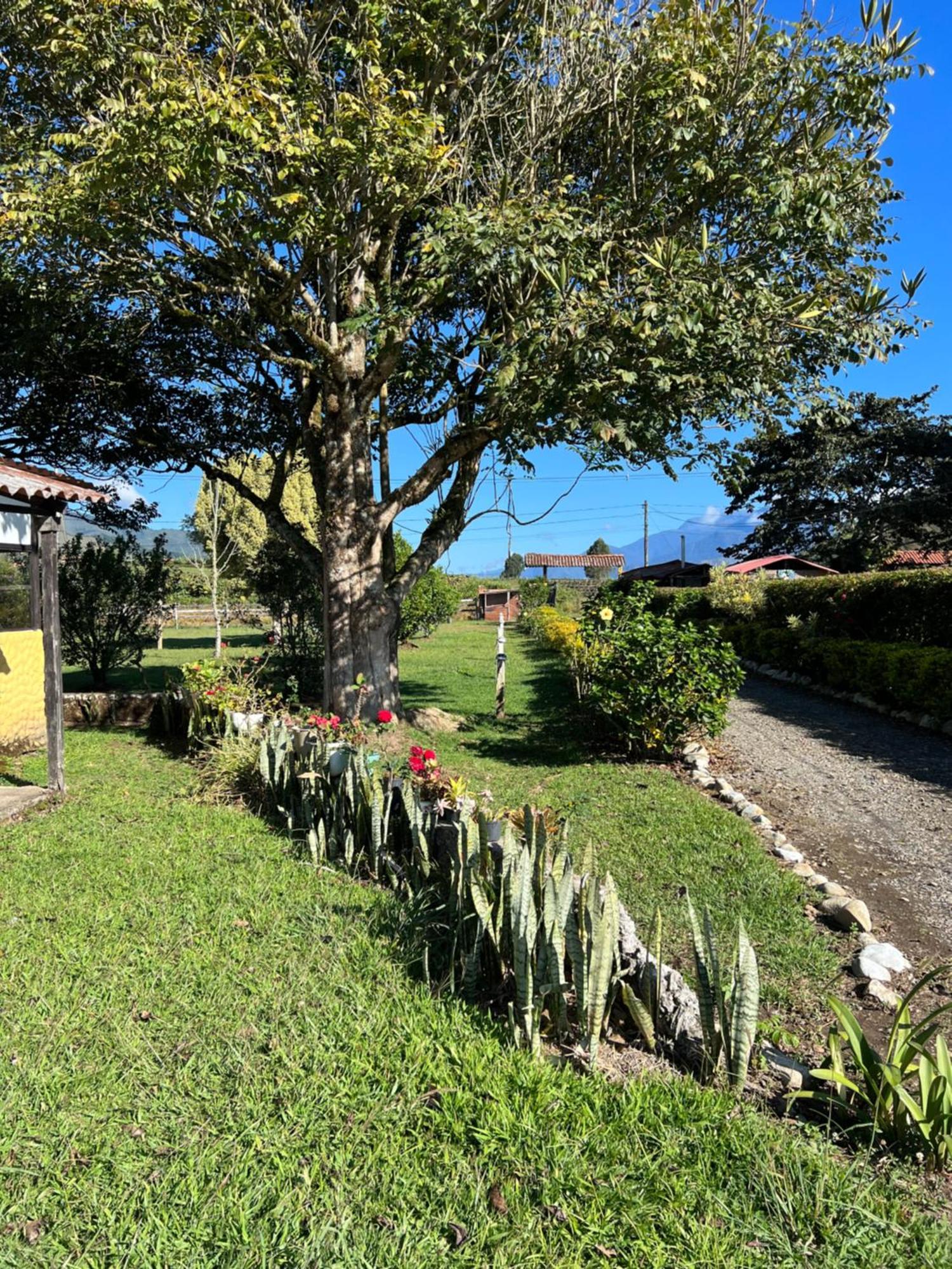 Finca Hotel Paraiso Urrao Extérieur photo