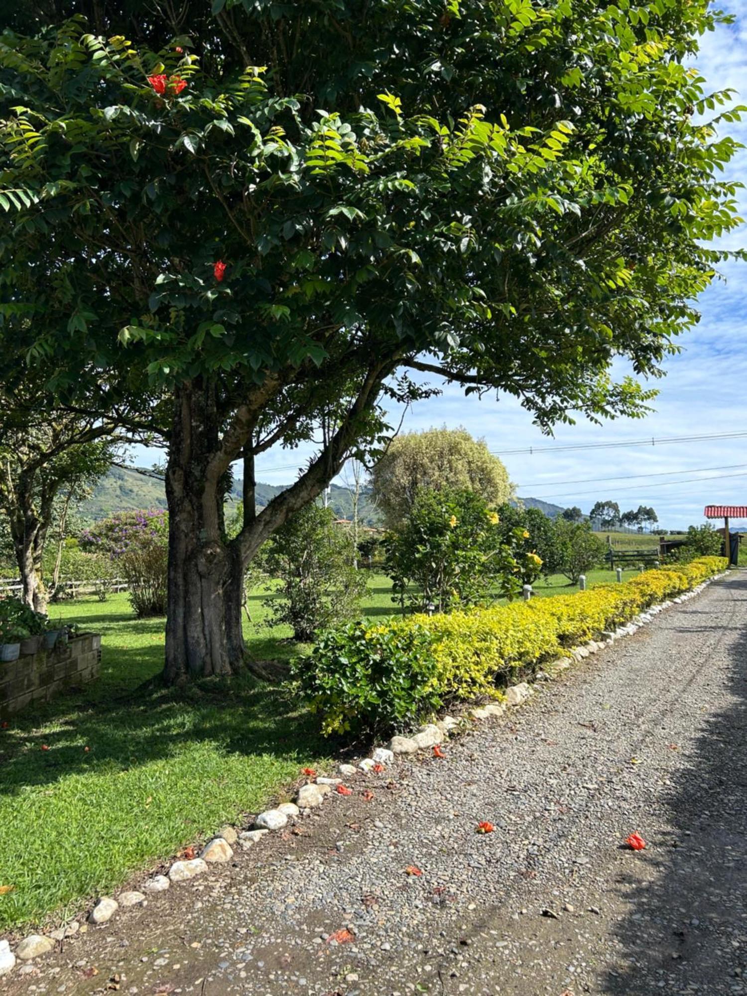 Finca Hotel Paraiso Urrao Extérieur photo